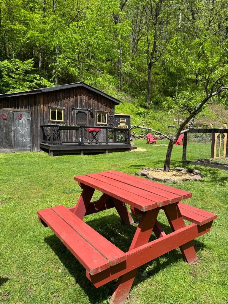 Villa The Renovated Barn At Seneca Rocks Esterno foto
