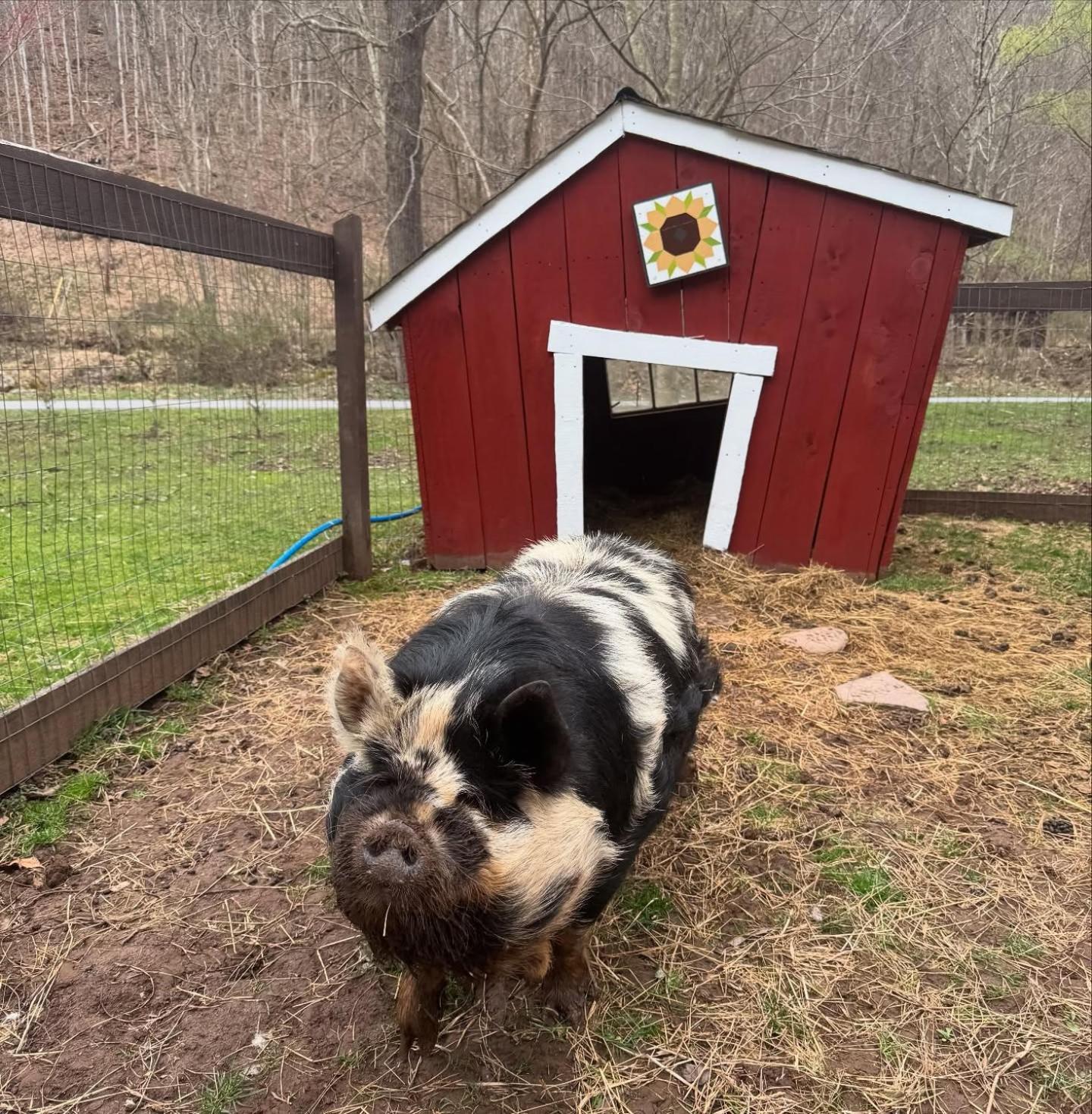 Villa The Renovated Barn At Seneca Rocks Esterno foto