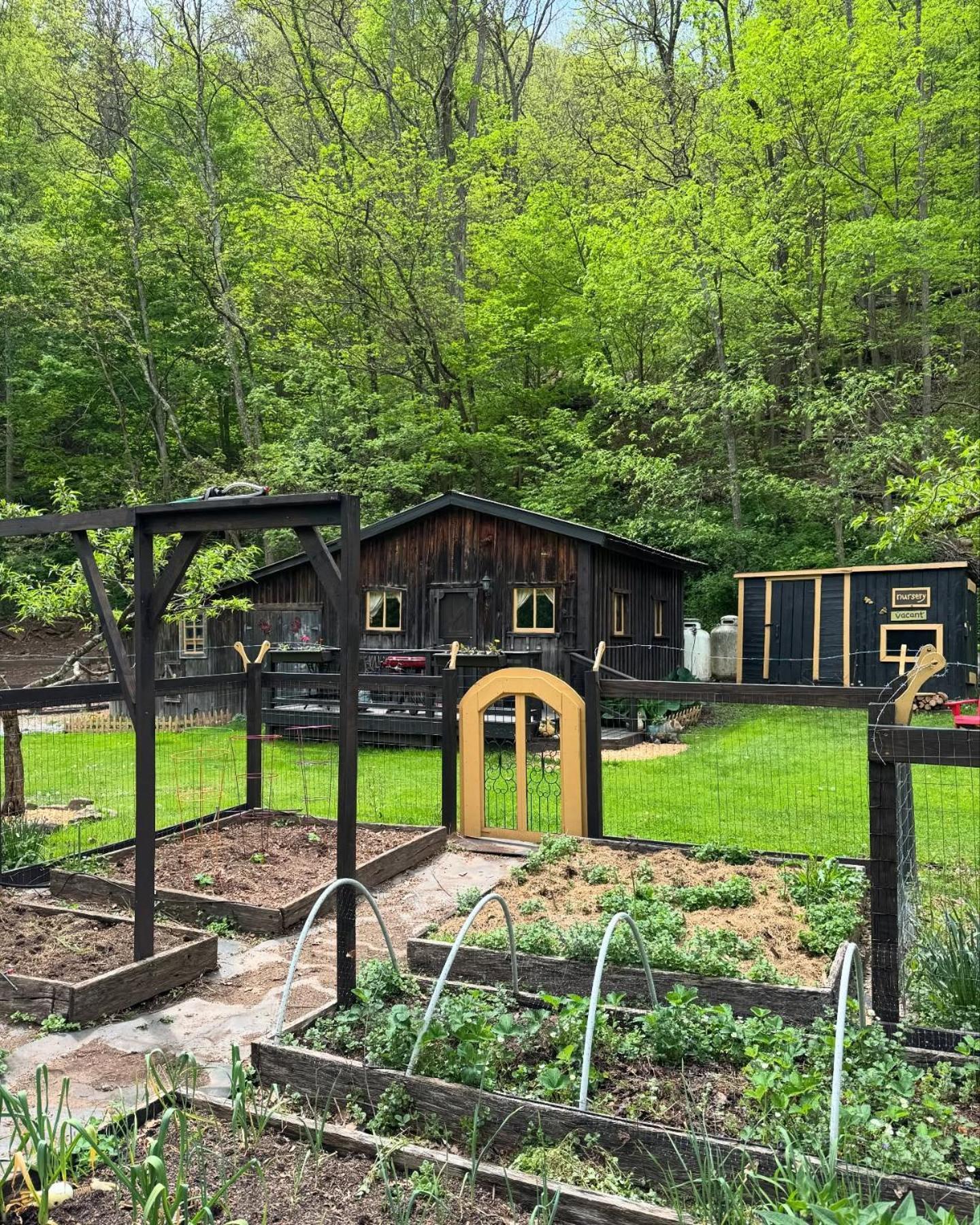 Villa The Renovated Barn At Seneca Rocks Esterno foto